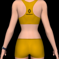 sportswear_renault-2.png