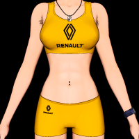 sportswear_renault-3.png