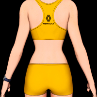 sportswear_renault-4.png