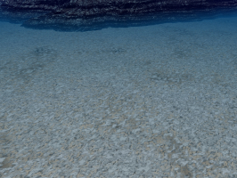 underthesea-seabed.jpg