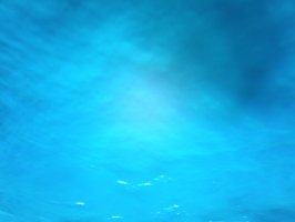 underthesea-waterline.jpg