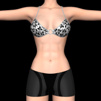 v4b-beachstar.png